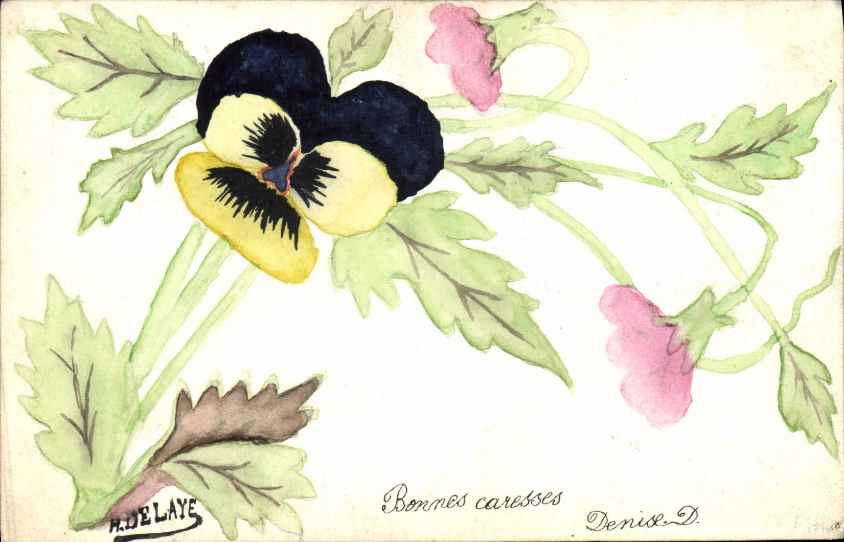 Poisson — Pansée — A. DELAYE