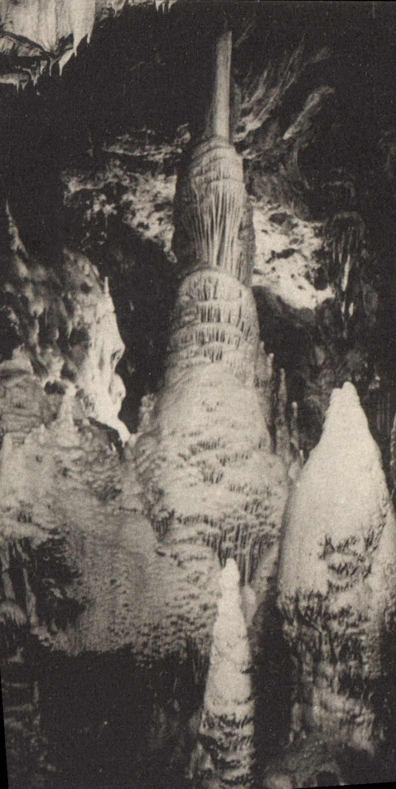 Grotte de Dargilan — La Mosquée — Dargilan