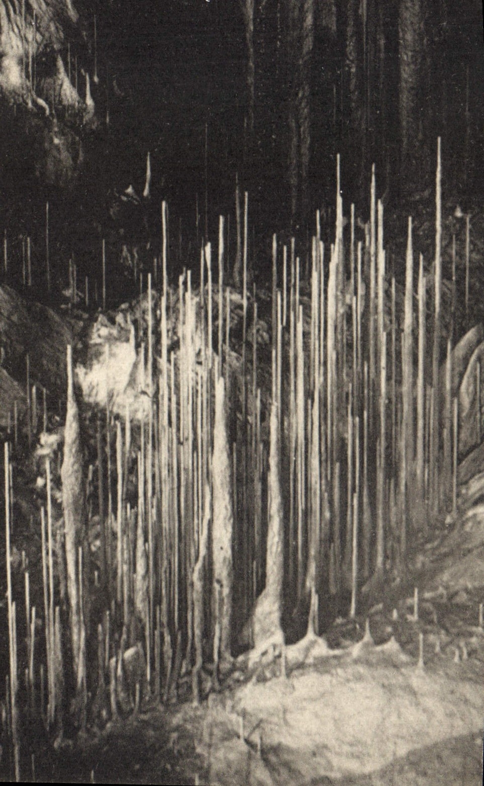 Les Macaronis — Grotte de Dargilan — Dargilan - Anverso