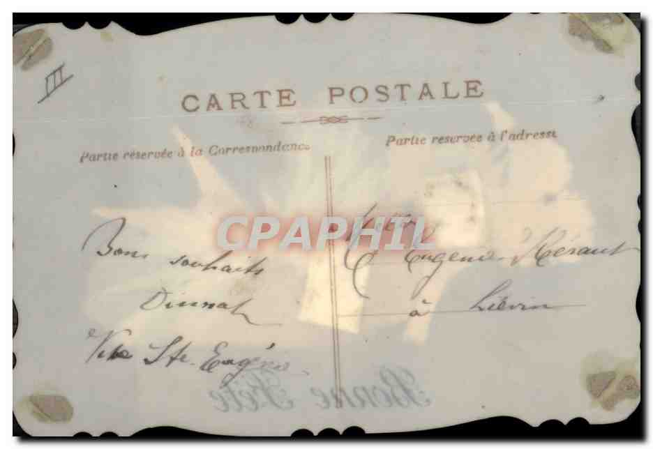 Oiseau portant des fleurs — Bonne Fête — Carte postale de la série 'CARTE POSTALE' (éditeur inconnu) — Verso