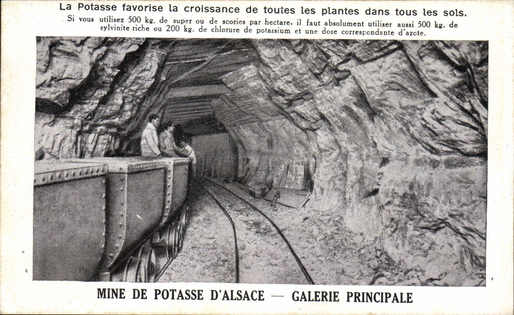 Mine de potasse d'Alsace — galerie principale — éditeur non identifié
