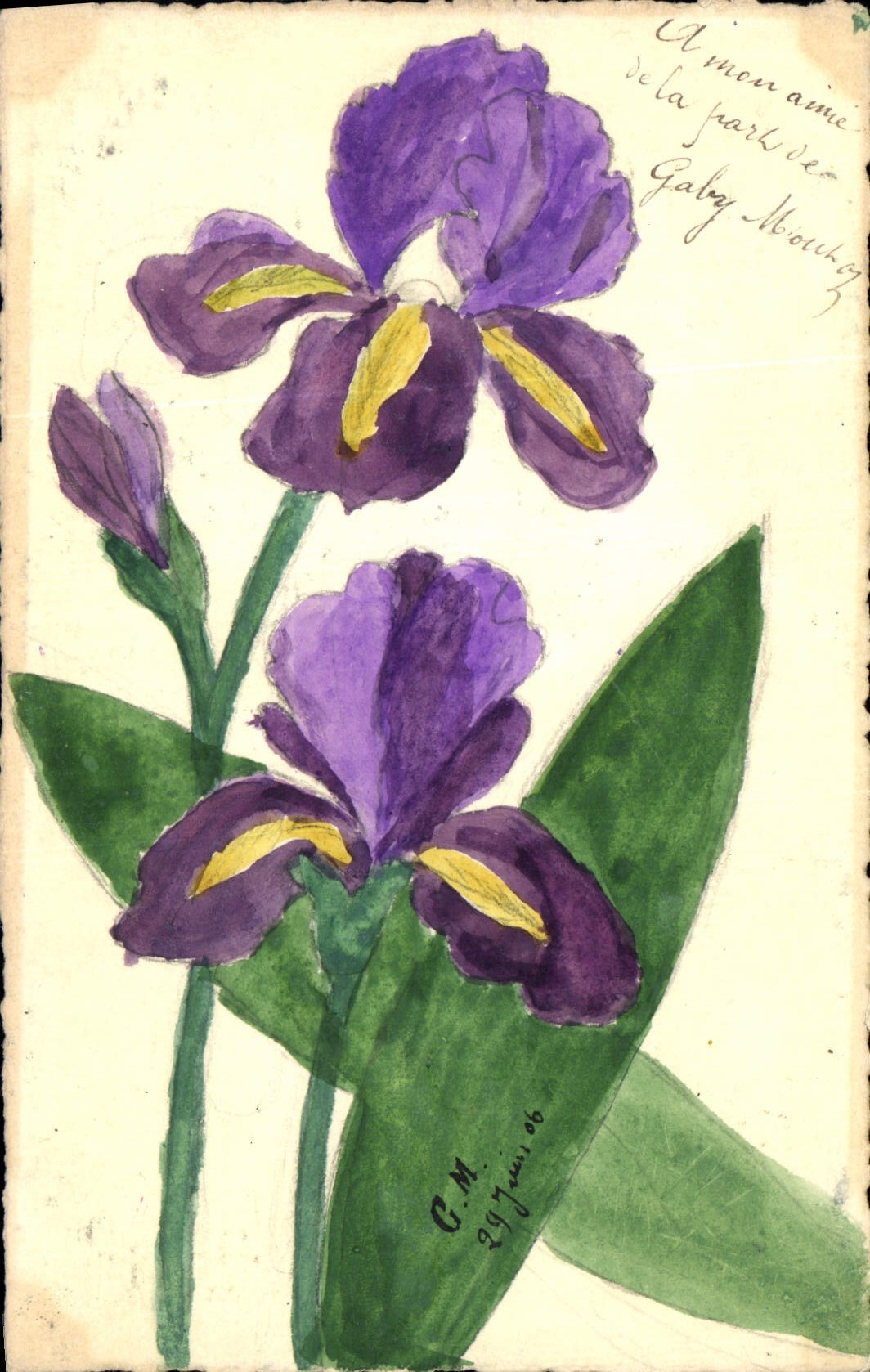 CPA Fantaisie Fleurs (dessin a la main) 