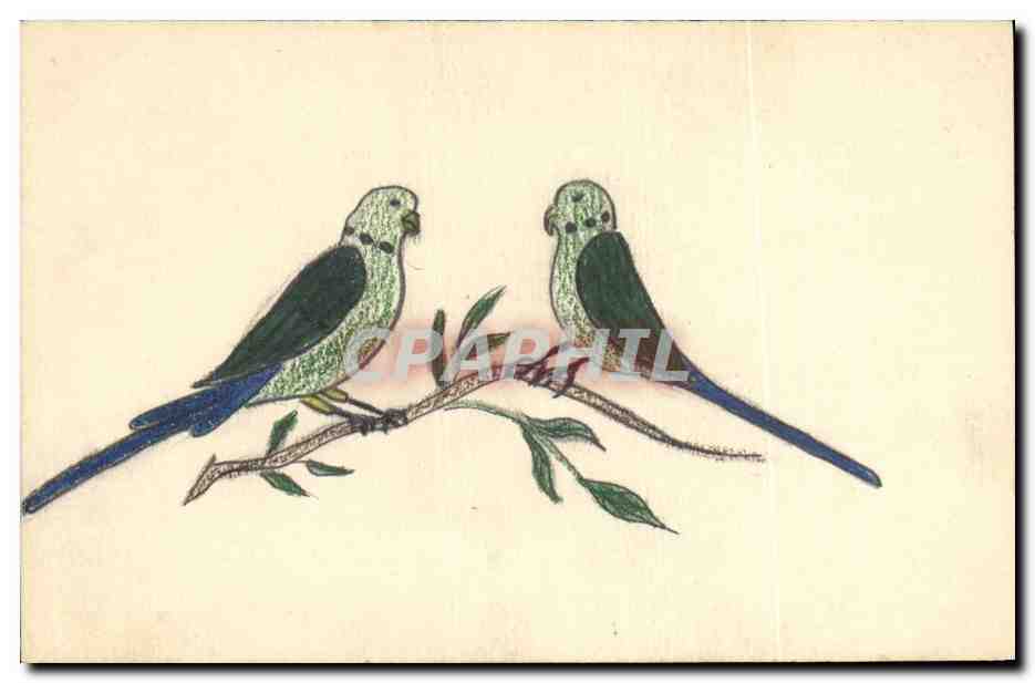 CPA Fantaisie Oiseaux (dessin a la main) 