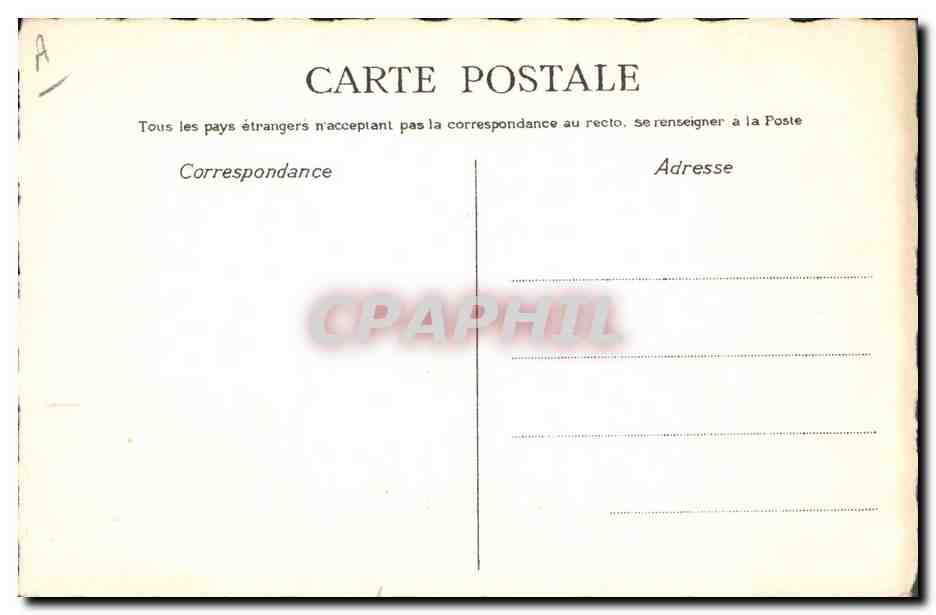 Chat blanc sous un arbre — illustration stylisée — sans éditeur ni numéro visible — Reverso