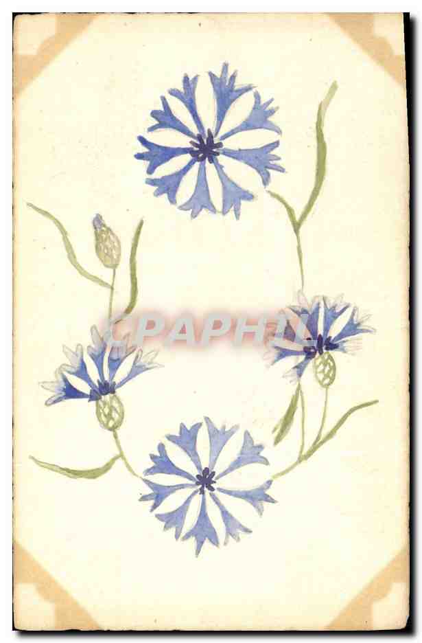 CPA Fantaisie Fleurs (dessin a la main) 