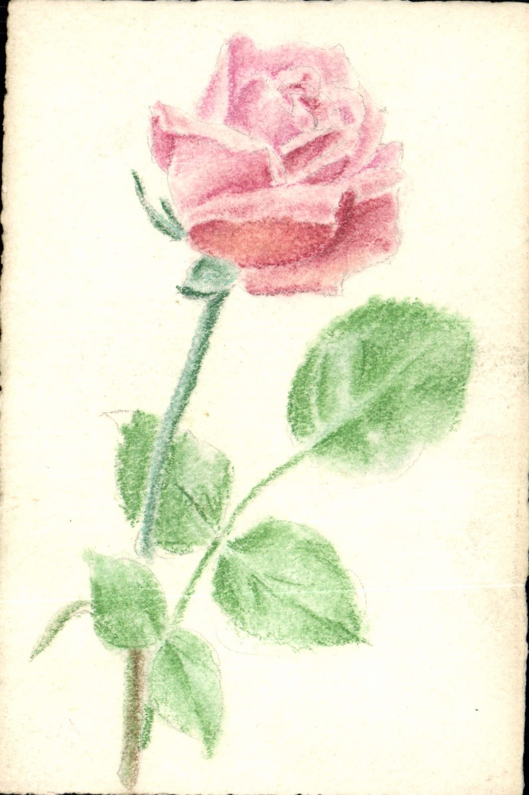 CPA Fantaisie Fleurs (dessin a la main) 