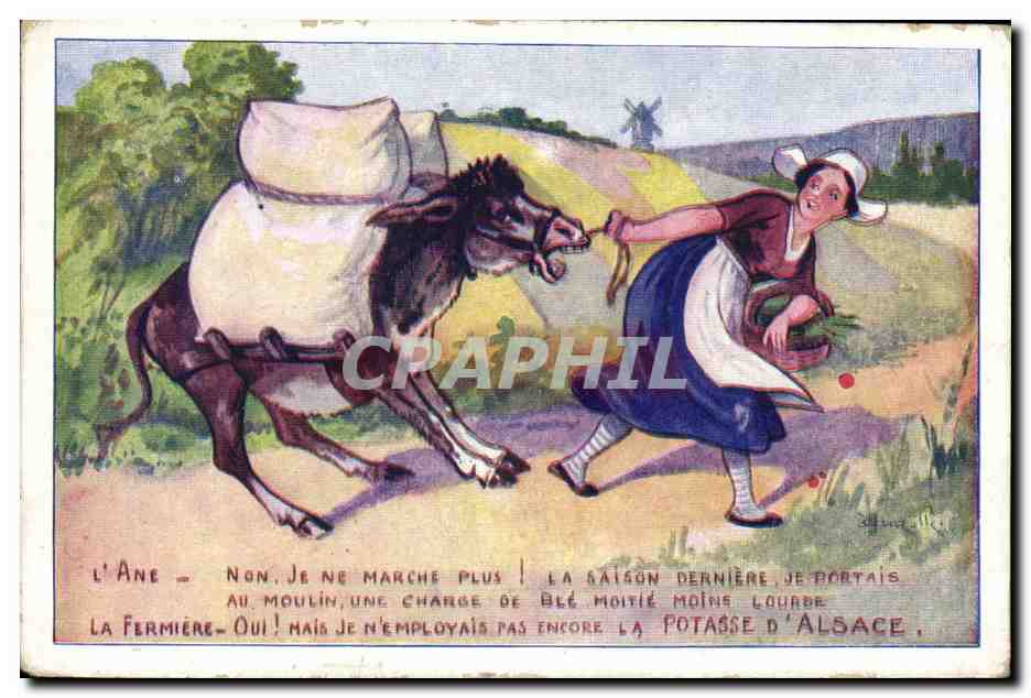 CPA Publicite Potasse d'Alsace Ane Mule