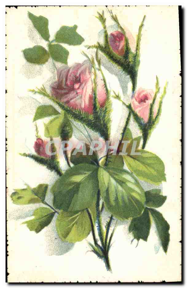 CPA Fantaisie (dessin a la main) Fleurs 