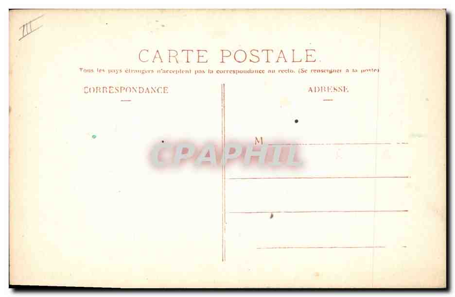 Pansées — illustration botanique — éditeur non visible — Reverso