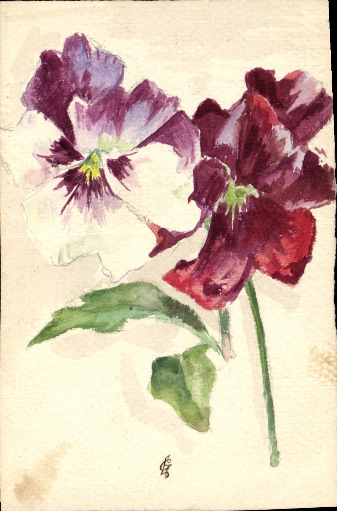 Deux pensées — aquarelle — signée en bas à droite