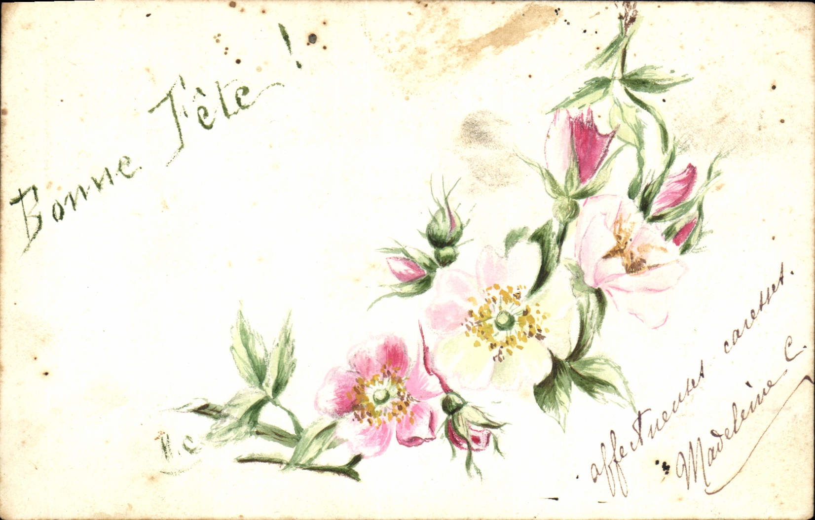 Fleurs de rosier — Bonne Fête ! — Madeleine C.