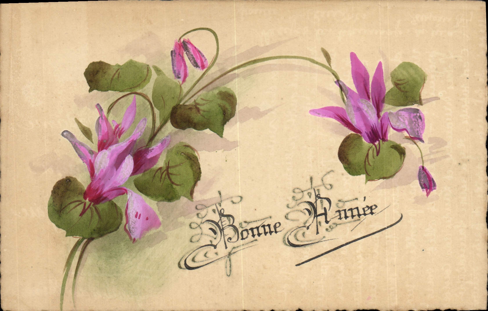 Fleurs de cyclamens — Bonne Année — Carte postale