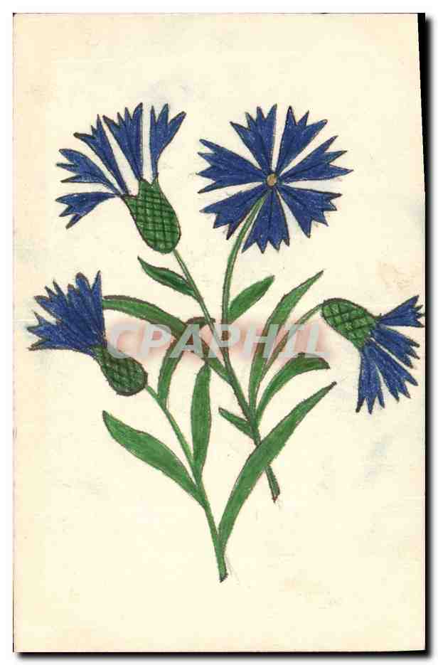CPA Fantaisie (dessin a la main) Fleurs 
