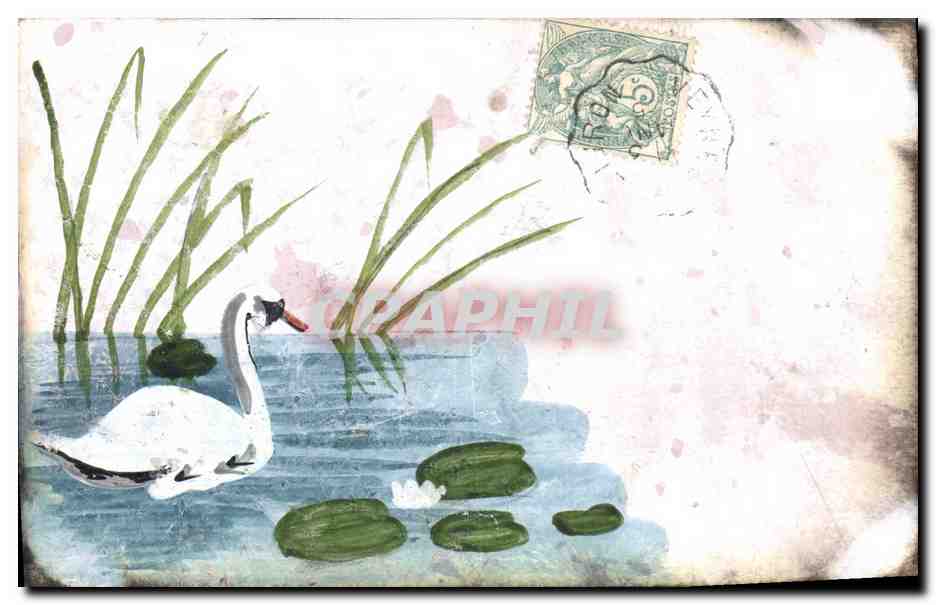 Cygne dans un étang — illustration — éditeur non visible