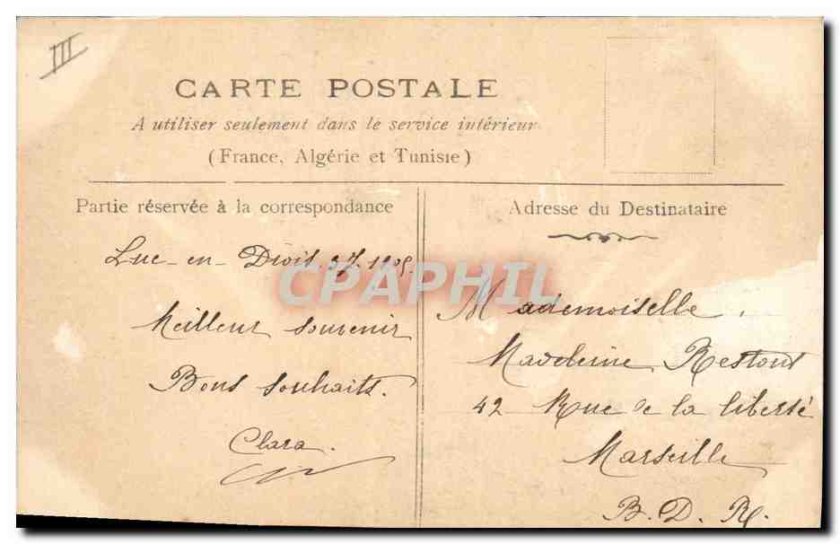 Cygne dans un étang — illustration — éditeur non visible — Verso