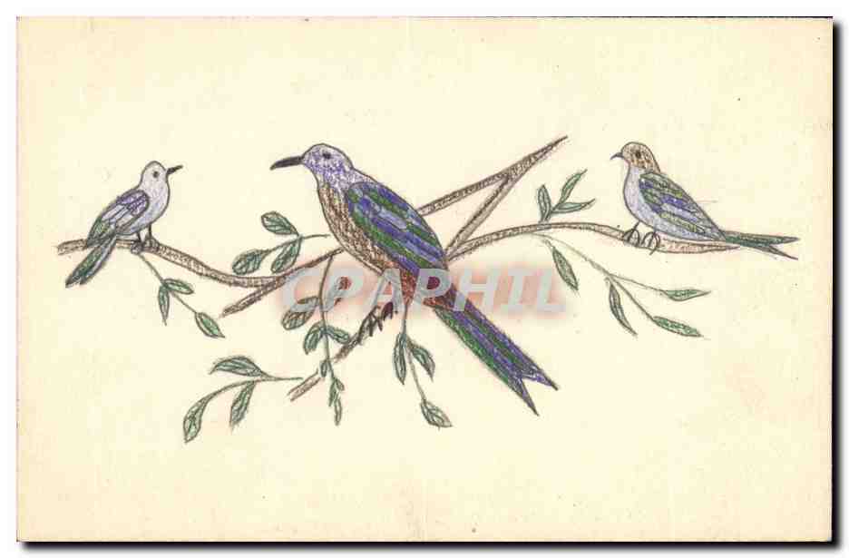 CPA Fantaisie (dessin a la main) Oiseaux 