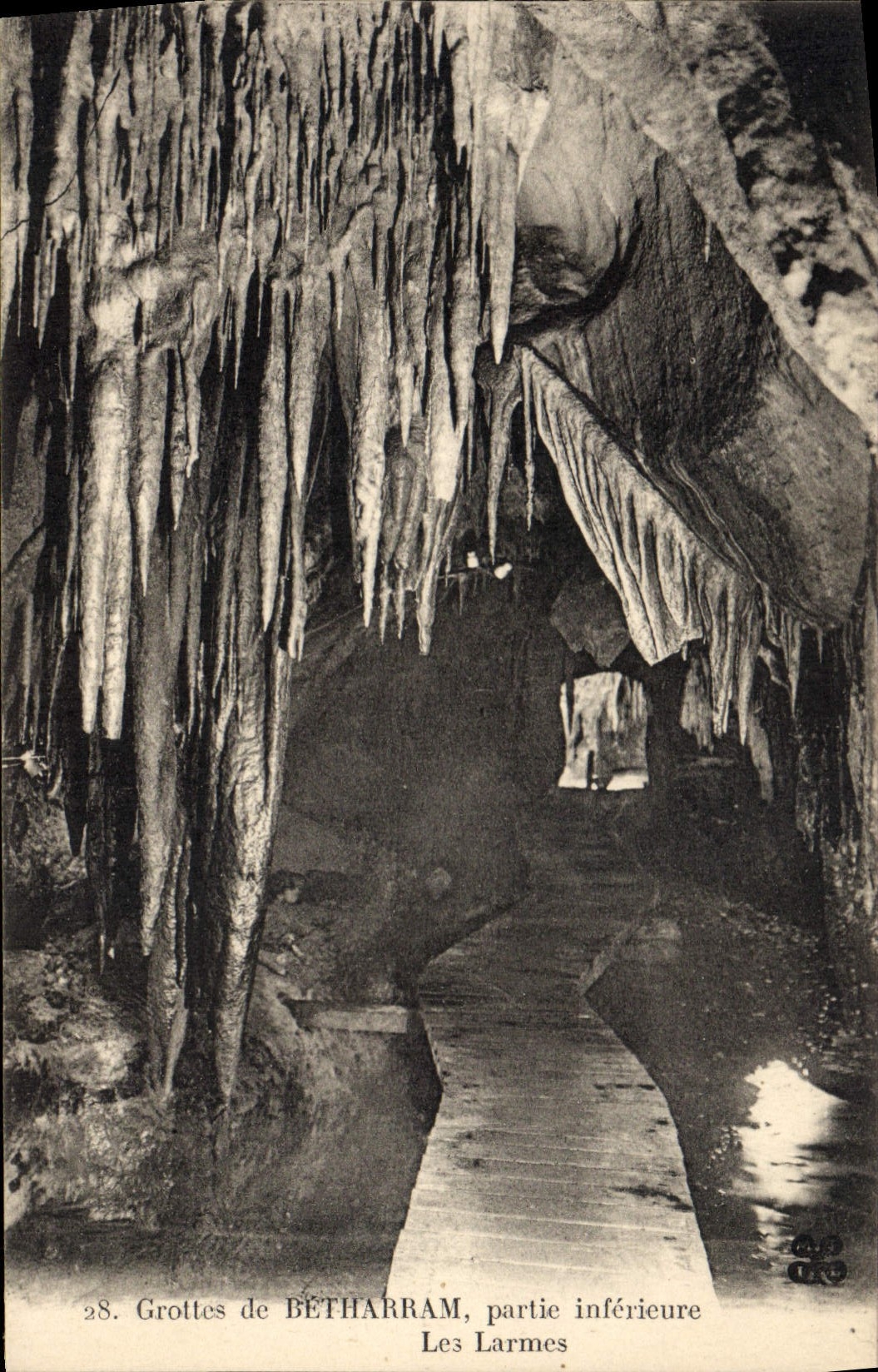 Grottes de BÉTHARRAM — Les Larmes — partie inférieure — n°28