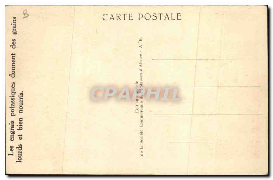 CPA Publicite Mines domaniales de Potasses d'Alsace Exploitation souterraine Chargement de sylvinite en taille — Rückseite