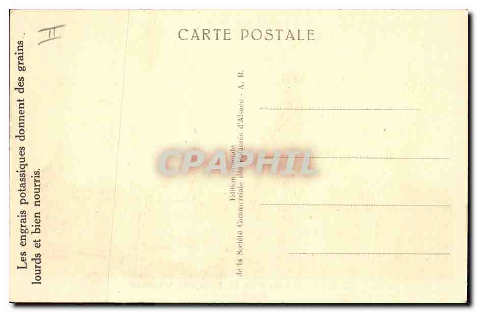 CPA Publicite Mines domaniales de Potasses d'Alsace Mine Amelie JI — Rückseite