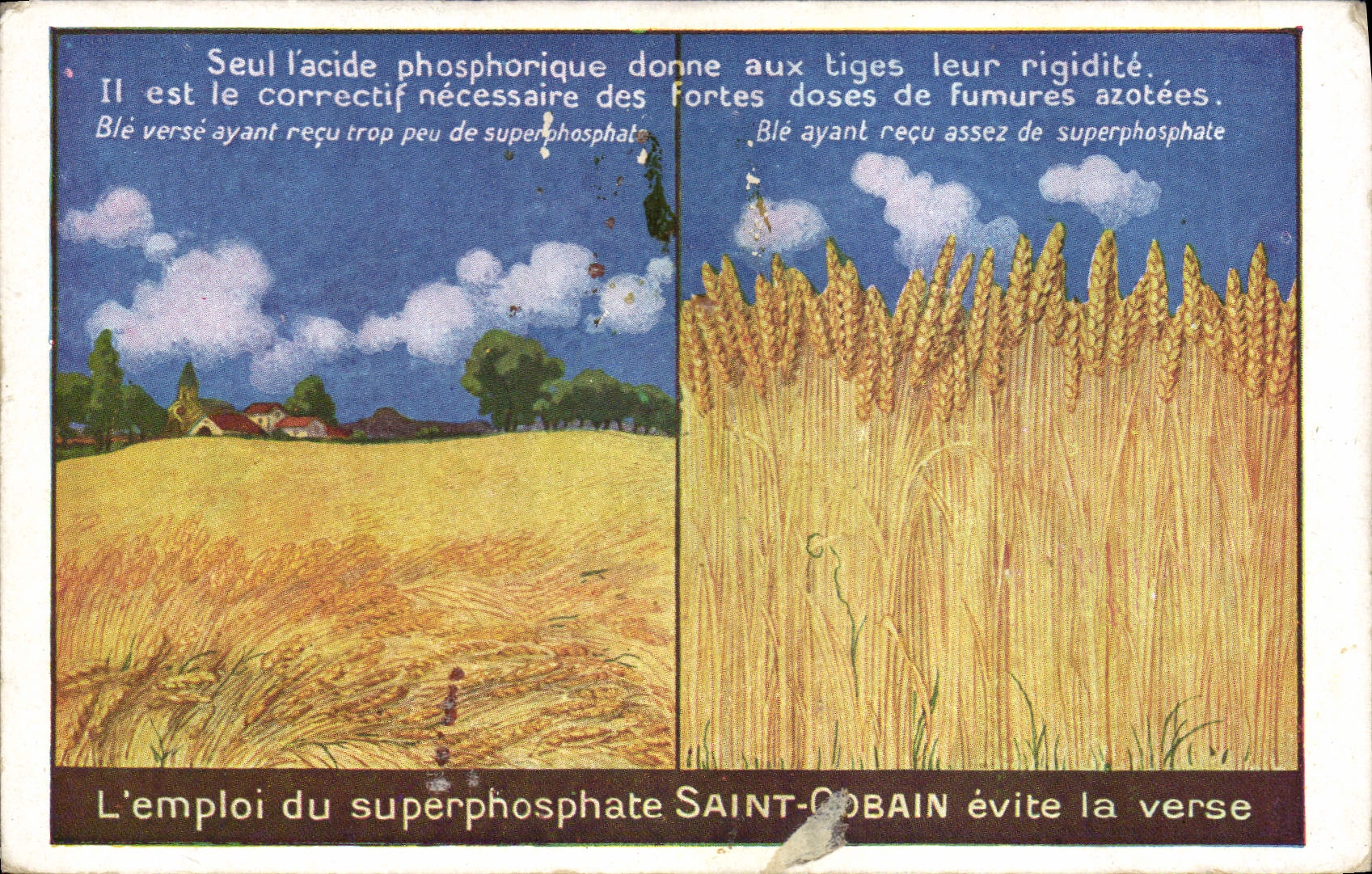 CPA Publicite Superphosphate Saint Gobain