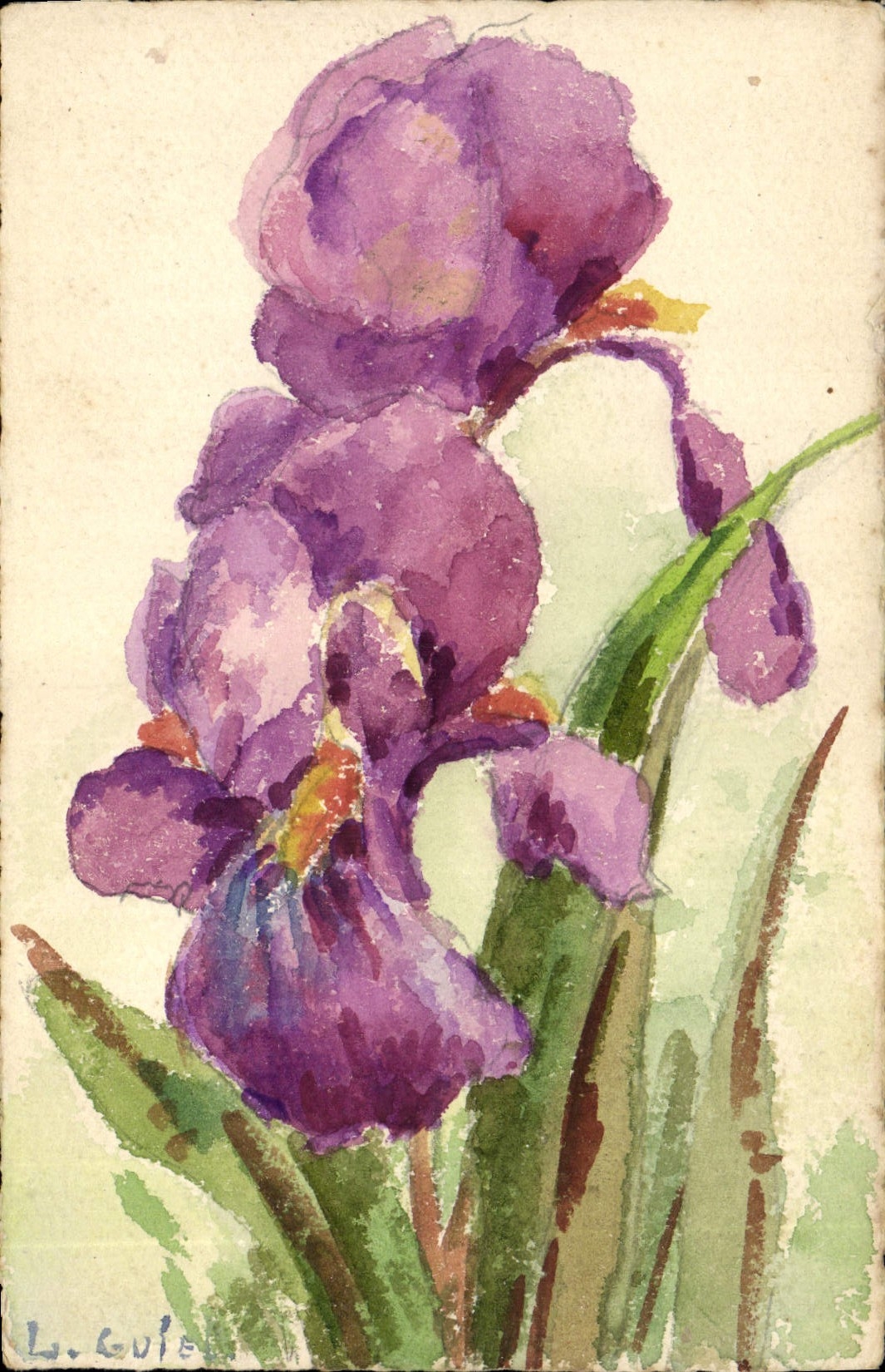 CPA Fantaisie Fleurs (dessin a la main) 