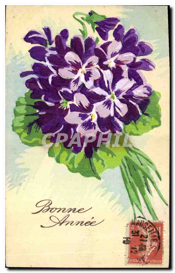 CPA Fantaisie Fleurs (dessin a la main) 
