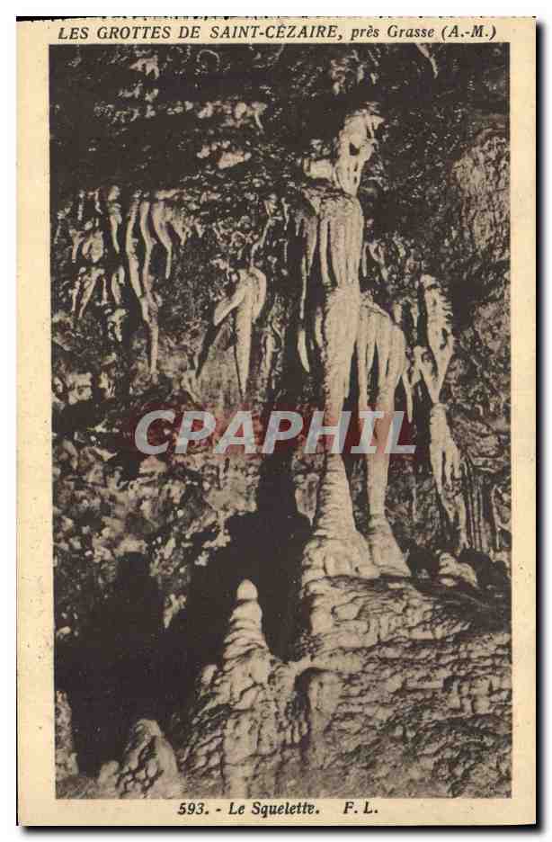 Les Grottes de Saint-Cézaire, près Grasse (A.-M.) — Le Squelette — F.L. n°593
