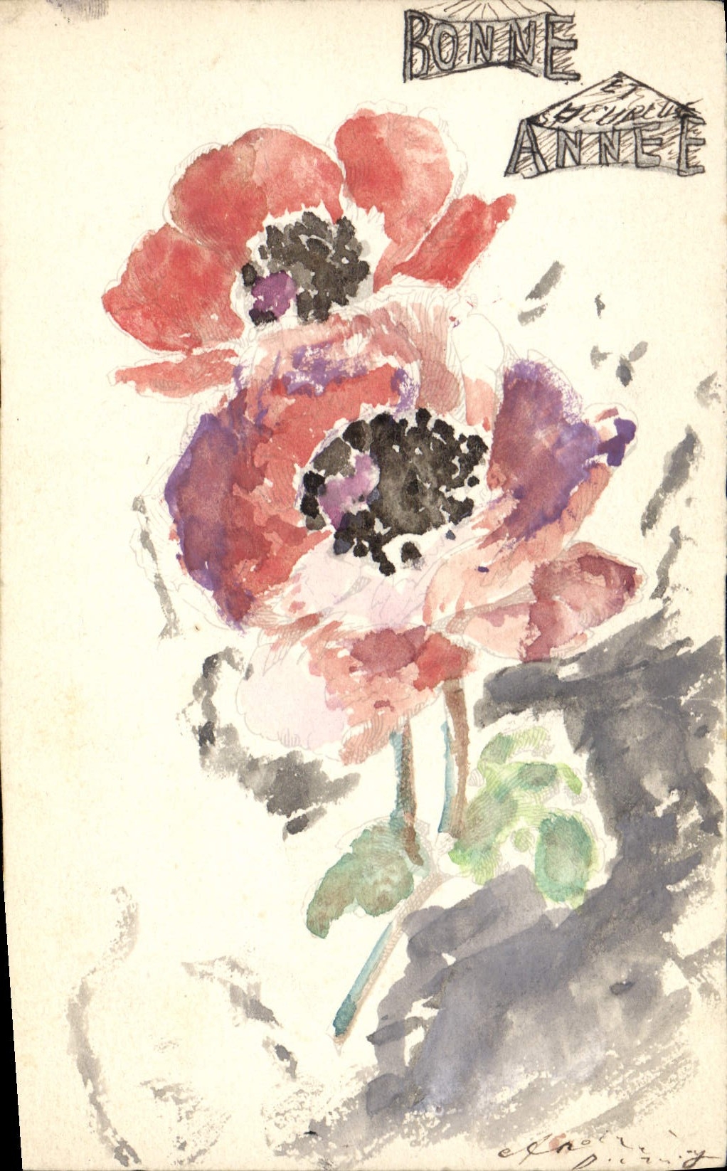 Anémones rouges — dessin à l'aquarelle — signé 'E. Denny'