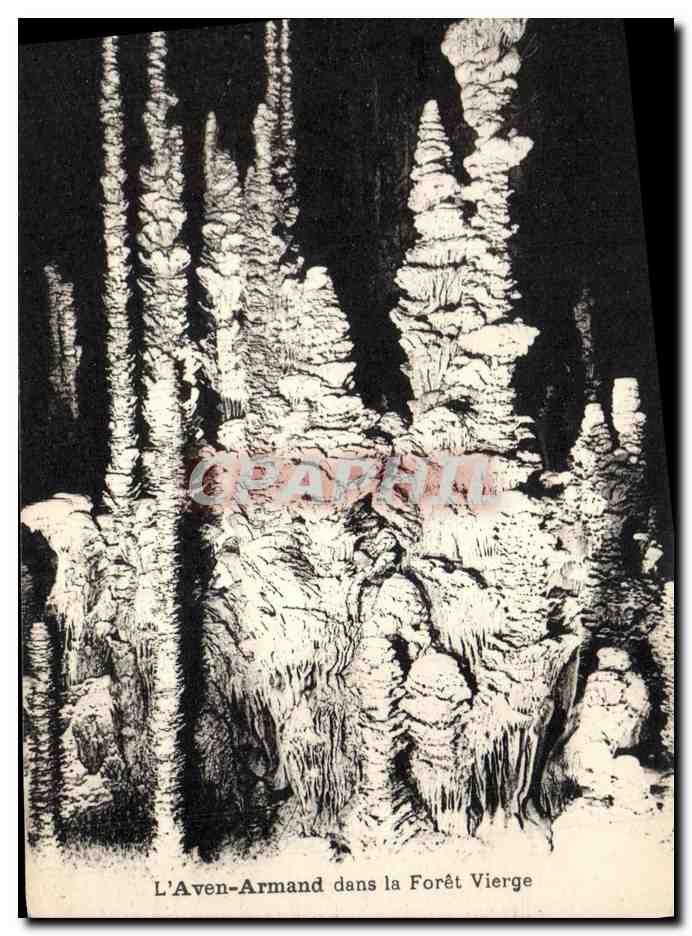 L'Aven-Armand dans la Forêt Vierge — gravure — sans éditeur ni numéro visible