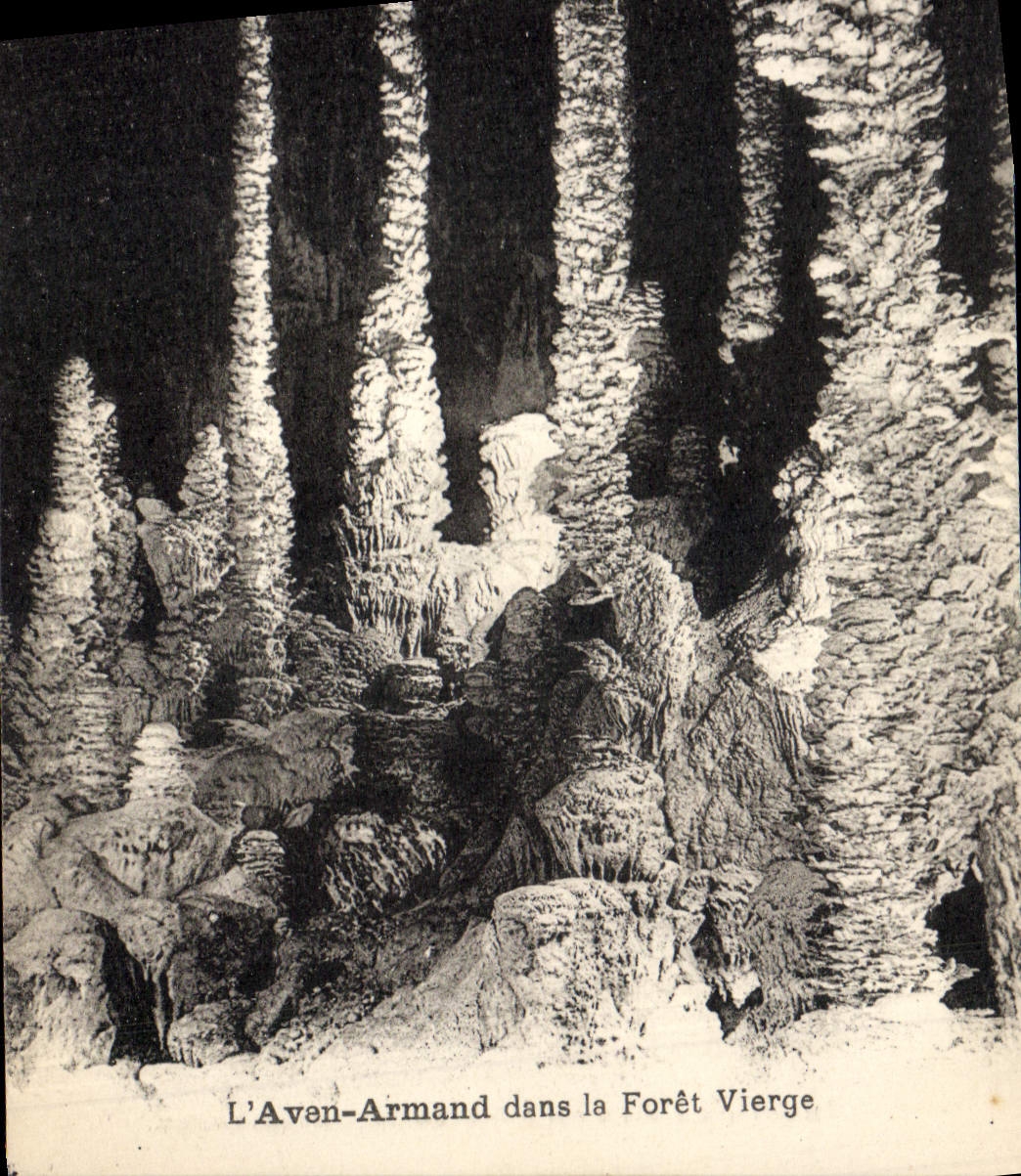 CPA Grotte Grottes L'Aven Armand dans la foret vierge 