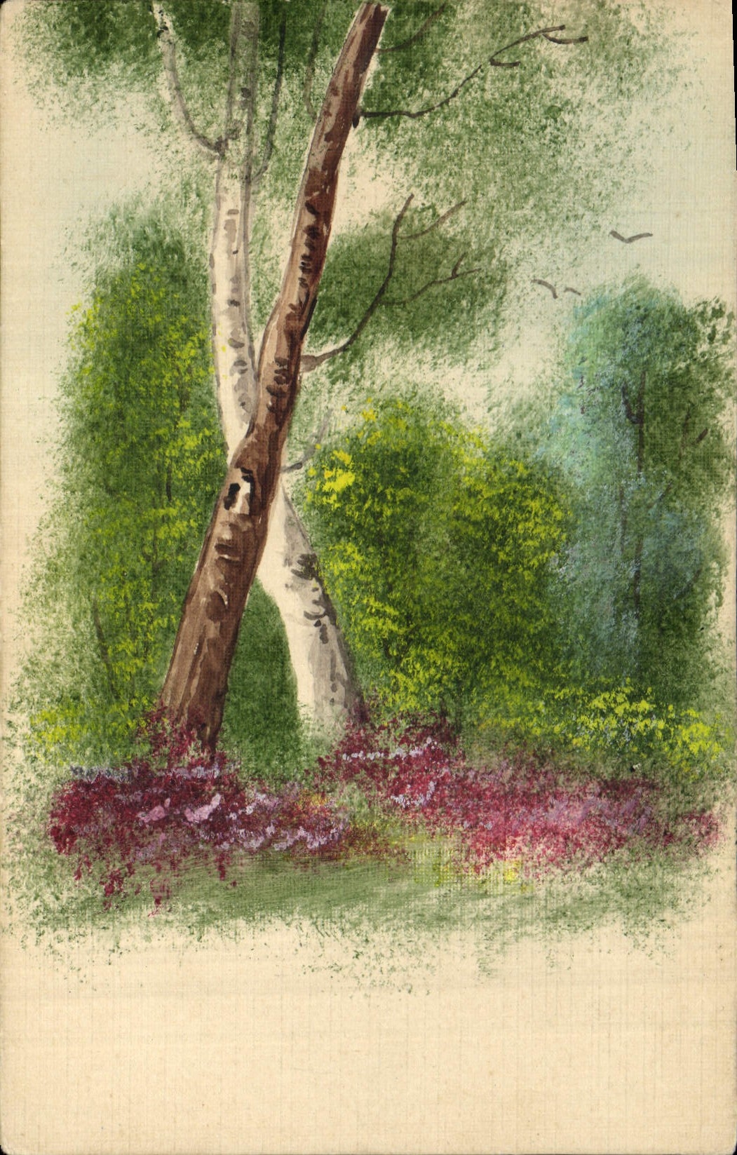 Arbre de bouleau dans un paysage printanier — illustration — éditeur non identifié, n° de série III