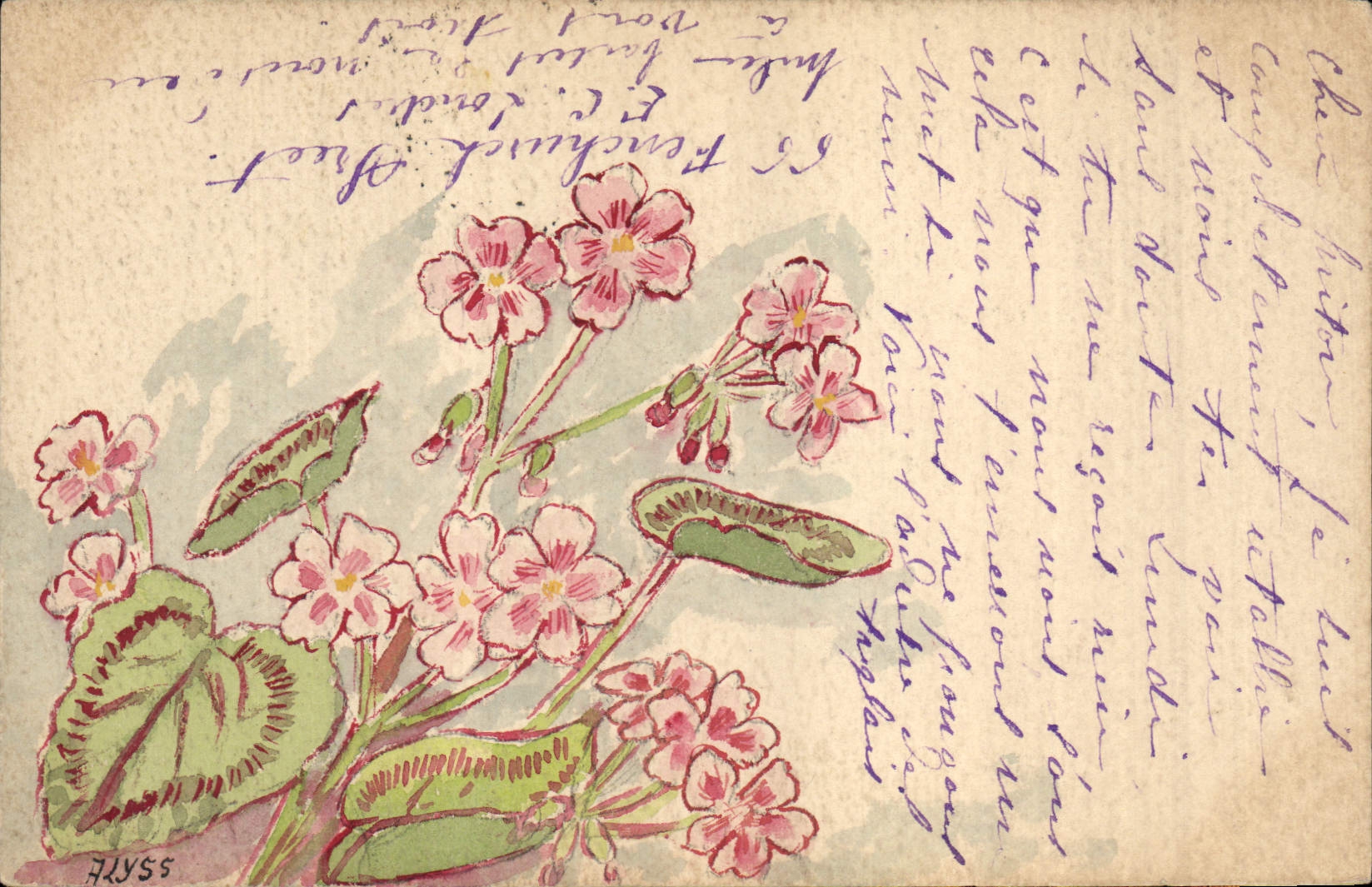 Fleurs de printemps — illustration — A. LLYSS