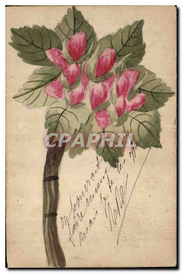 Fleur rose — dessin à l'aquarelle — carte postale intérieure française