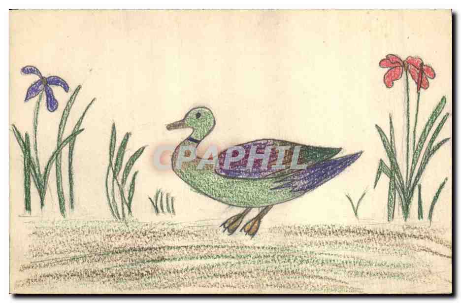 Canard dans un décor de fleurs — dessin à la pastel — éditeur non visible