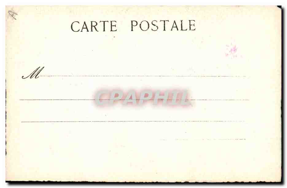 Fleurs — Peonies roses dans un vase — Carte postale CPAPHIL — Verso