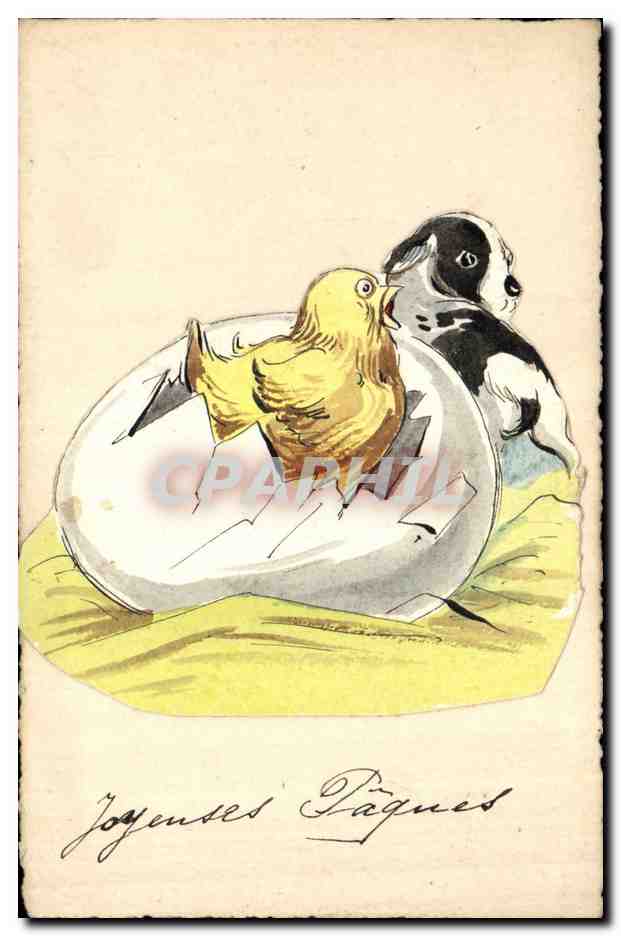 Poussins sortant d'un œuf — illustration colorée — sans éditeur ni numéro de série visible