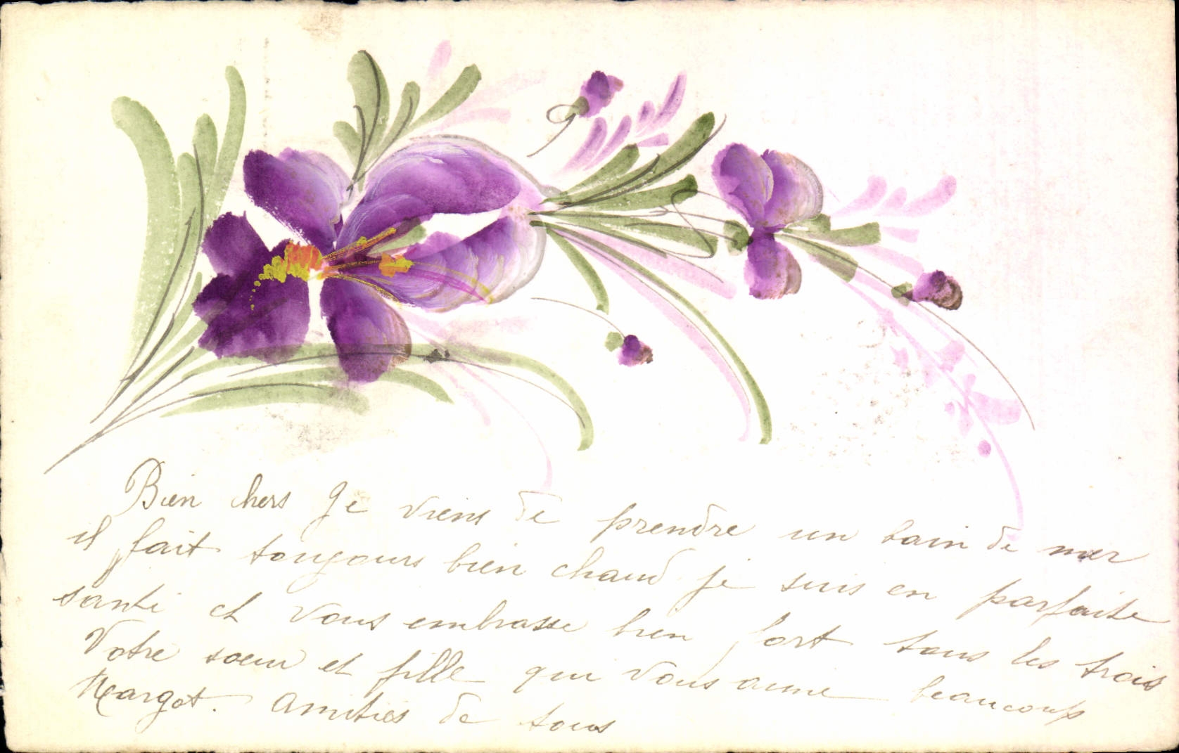 Fleurs violettes — illustration aquarelle — éditeur non visible