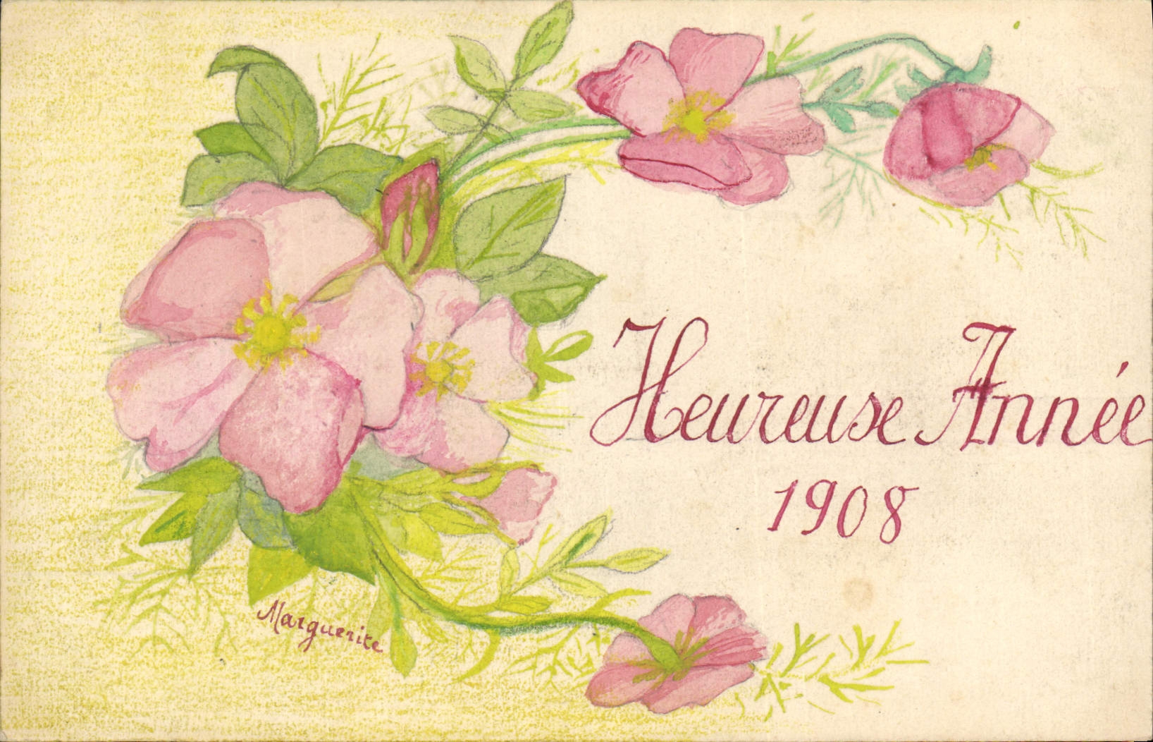 Fleurs roses — 'Heureuse Année 1908' — Marguerite