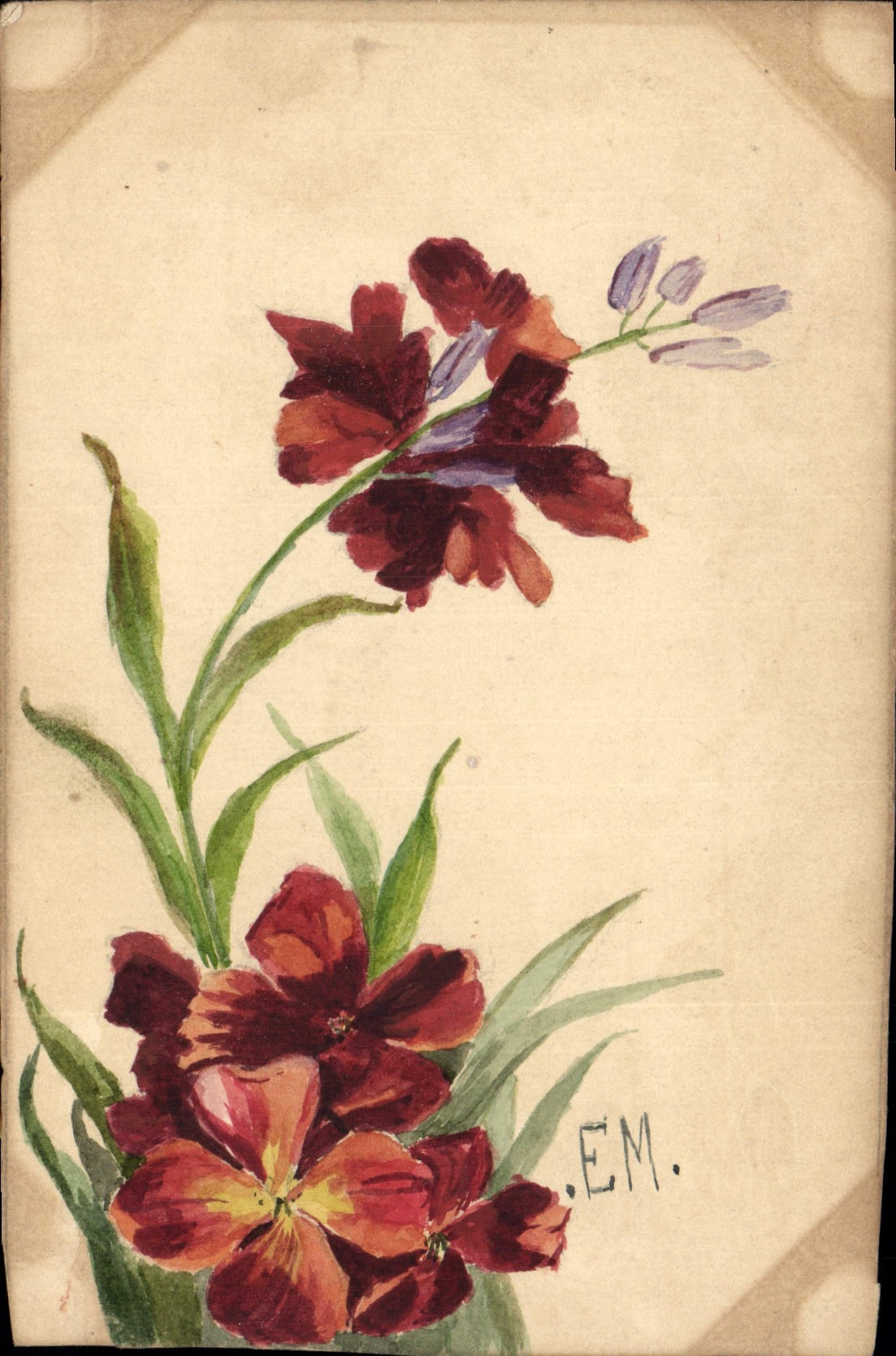 Fleurs rouges et violettes — dessin à l'aquarelle — signé .E.M. — verso : message manuscrit et adresse