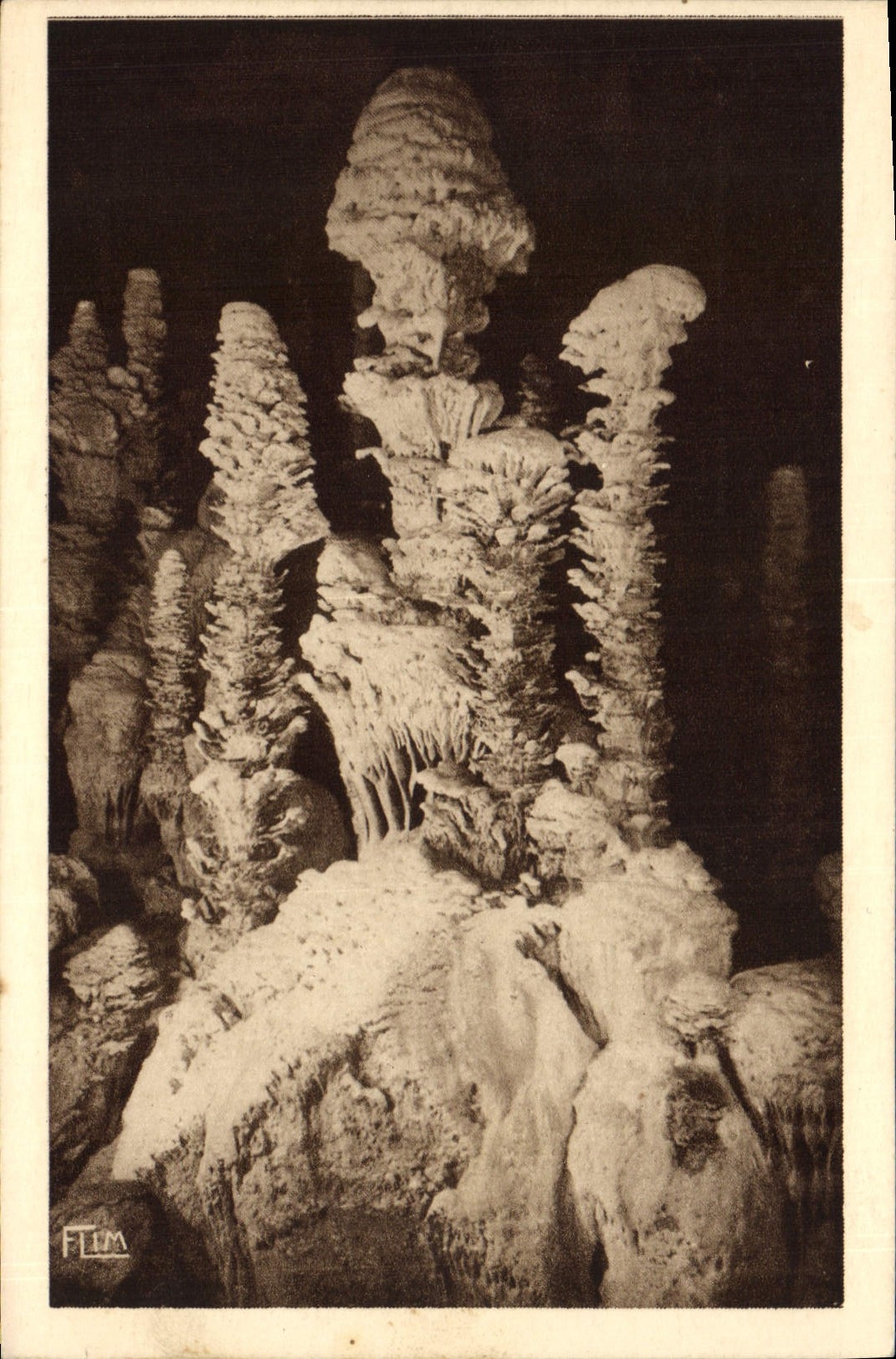 CPA Grotte Grottes L'Aven Armand dans la foret vierge 