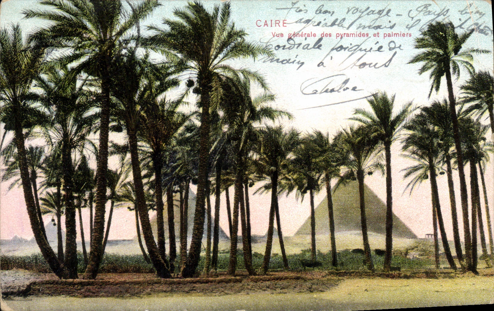 CPA Egypte Egypt Caire Vue generale des pyramides et palmiers