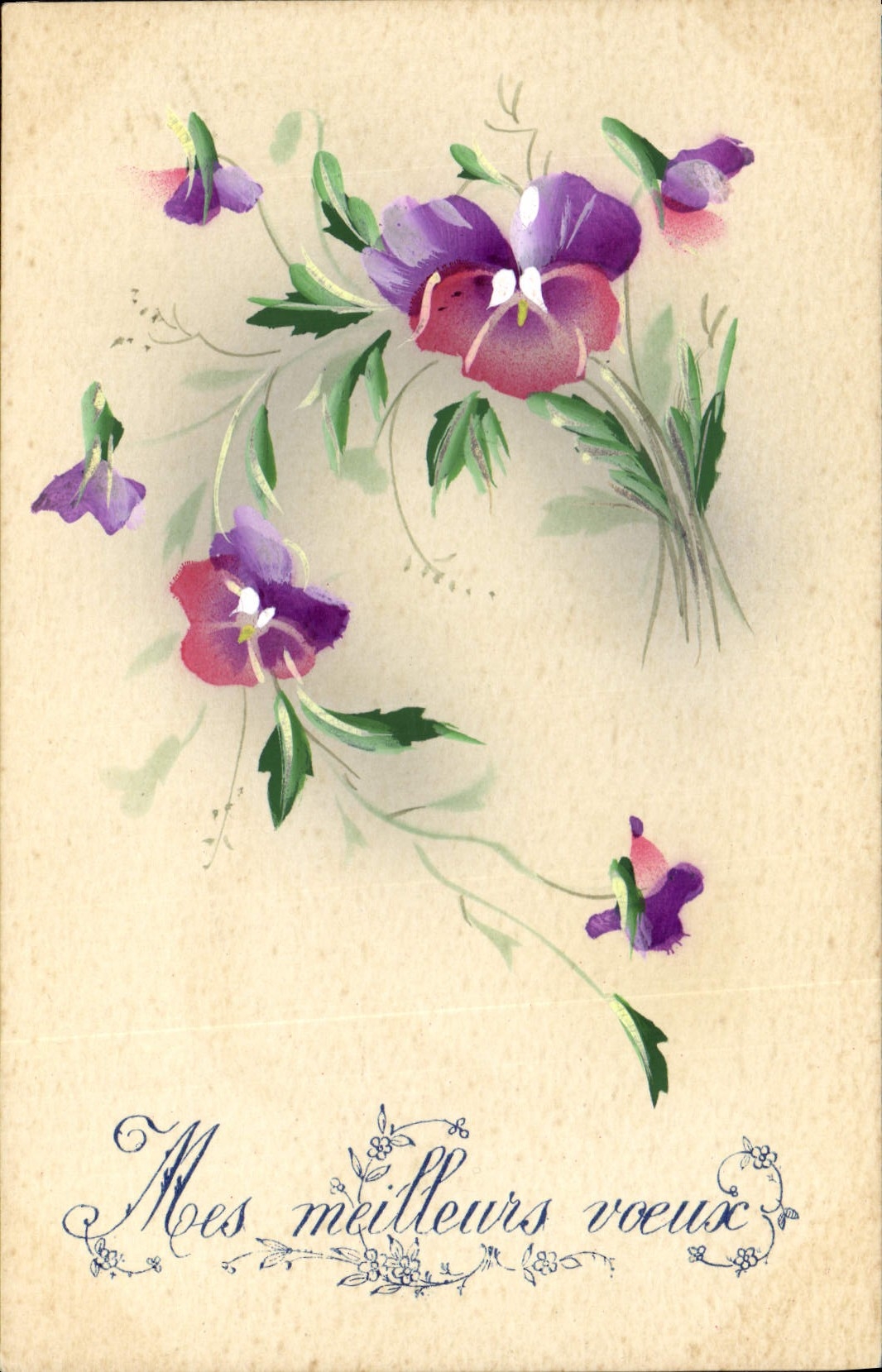 Fleurs violettes — carte de vœux — Grabelle, 29 décembre 1917