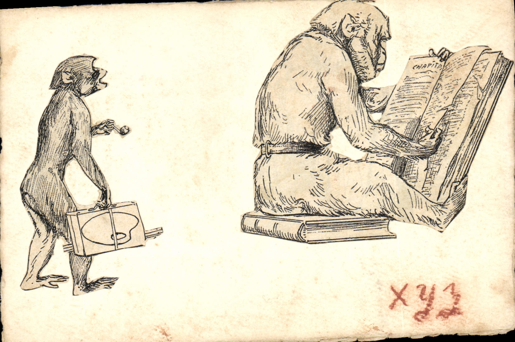 CPA Fantaisie (dessin a la main) Singe