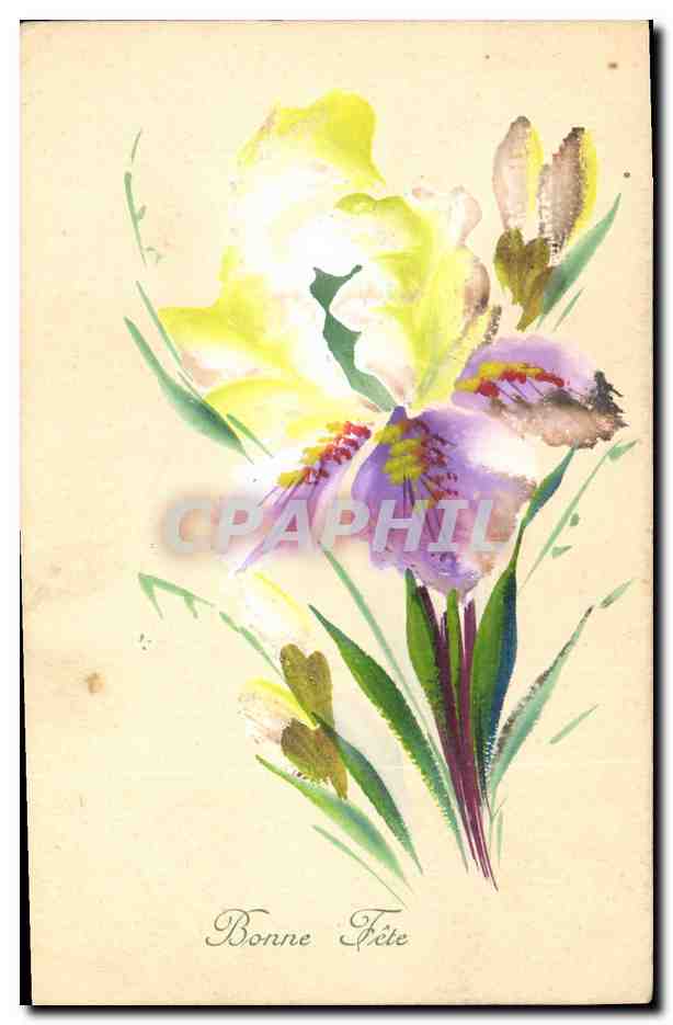 Fleurs d'iris — Bonne Fête — E. W. SAFORT, Ltd. Brind.