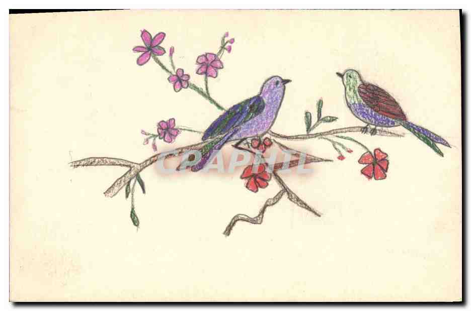 CPA Fantaisie (dessin a la main) Oiseaux 