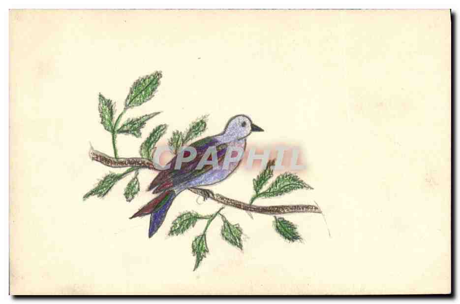 CPA Fantaisie (dessin a la main) Oiseau 