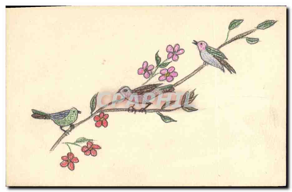 Oiseaux sur branche fleurie — illustration colorée — sans éditeur ni numéro visible