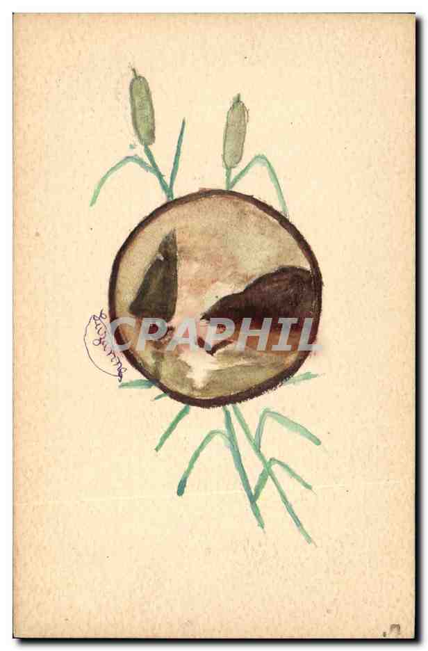 Nature morte avec coquille — dessin à l'aquarelle — éditeur non identifié
