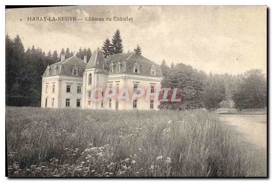 HABAY-LA-NEUVE — Château du Châtelet — Albert Bastuin, éditeur