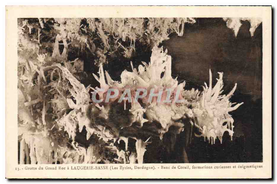CPA Grotte Grottes Grotte du Grand Roc a Laugerie Basse les Eyzies Dordogne Banc de Corail formation